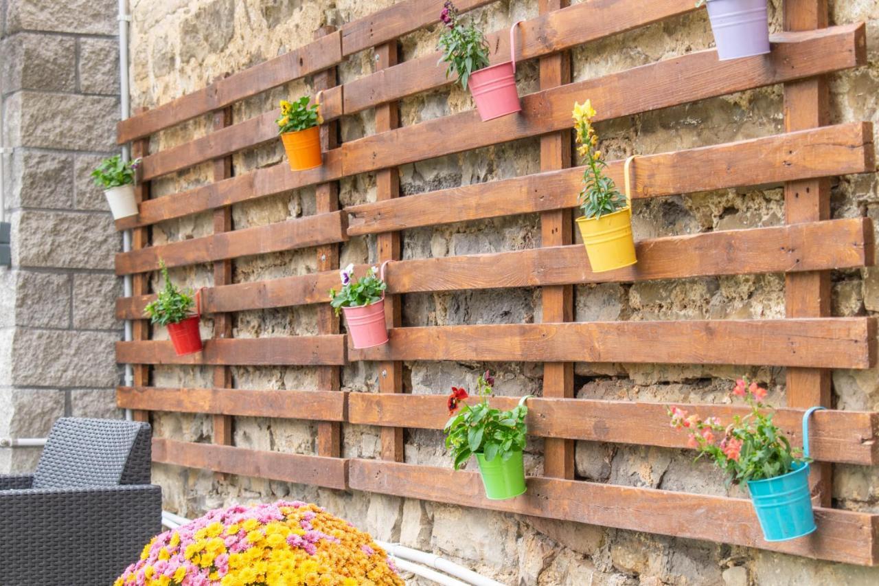 Acogedora Casa Rural Con Jardin Y Barbacoa Proxima A Pamplona Ilzarbe エクステリア 写真